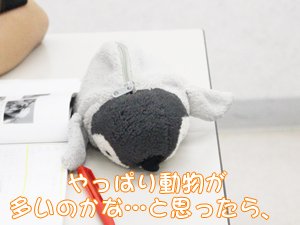 動物が好きだから…？
